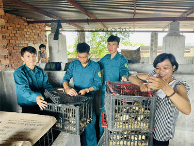 Chi bộ Quân sự xã Tóc Tiên, thị xã Phú Mỹ trao gà giống tặng hộ nghèo