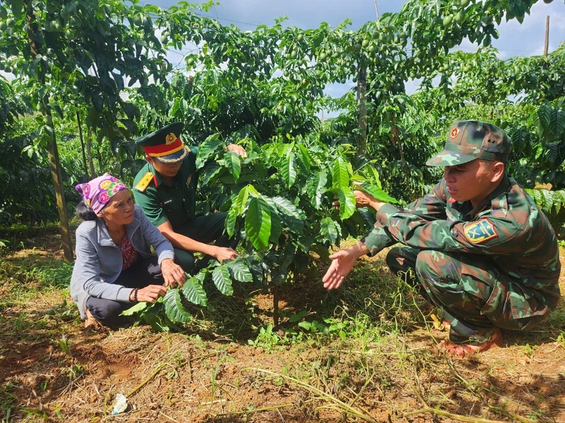 Cà phê 15 – Thương hiệu được vun trồng từ tâm huyết người lính