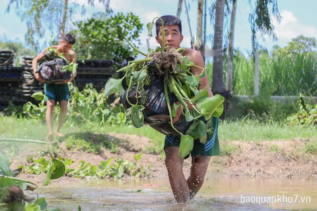 Sư đoàn 5 nâng cao chất lượng huấn luyện vượt sông