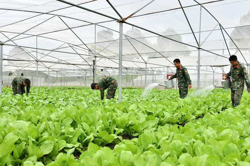 Sư đoàn 9, Quân đoàn 34 : Điểm sáng về "Xây dựng đơn vị nuôi quân giỏi, quản lý quân nhu tốt"