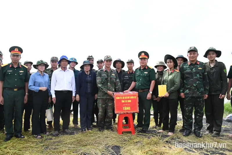 Bộ CHQS tỉnh Tây Ninh thăm, động viên lực lượng giúp dân gặt lúa chạy lũ