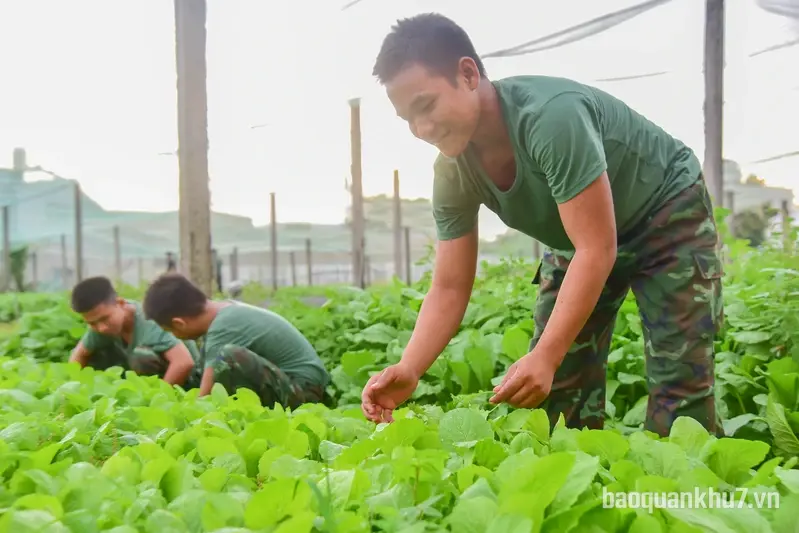 Tăng gia hiệu quả ở đơn vị pháo phòng không
