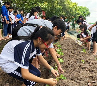 Một ngày trải nghiệm môi trường Quân đội