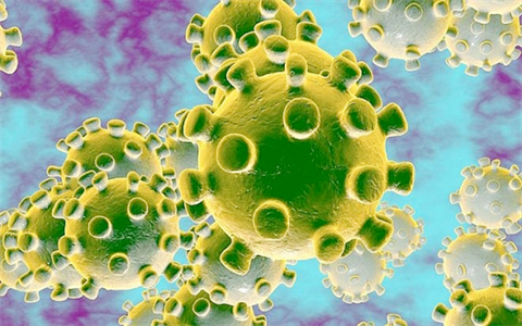 Hỏi: Virus Covid-19 có ở đâu trong môi trường xung quanh chúng ta?