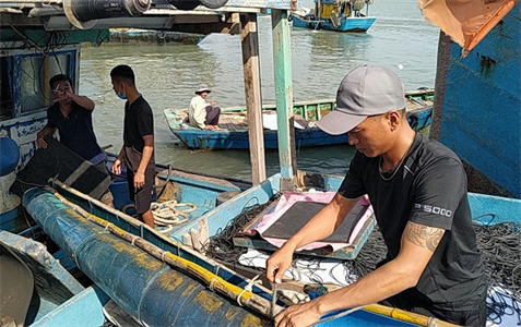Ngư dân Phước Tỉnh rộn ràng ra khơi sau dịch Covid - 19