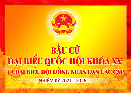 Hội nghị tiếp xúc cử tri trong vận động bầu cử đại biểu Quốc hội khóa XV, đại biểu Hội đồng nhân dân các cấp nhiệm kỳ 2021-2026