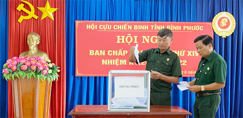 Cựu chiến binh tỉnh Bình Phước đóng góp 917 triệu đồng xây dựng nông thôn mới