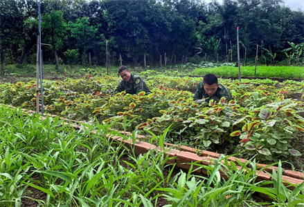 Bộ CHQS tỉnh Bình Phước hội thi Trưởng Ban Hậu cần - Kỹ thuật năm 2022