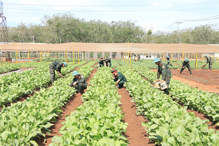Sư đoàn 302: Bảo đảm tốt công tác hậu cần tiếp nhận, huấn luyện chiến sĩ mới