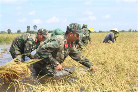 LLVT huyện Tân Hưng (tỉnh Long An): Cùng dân vượt lũ