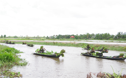 Luyện quân mùa nước nổi