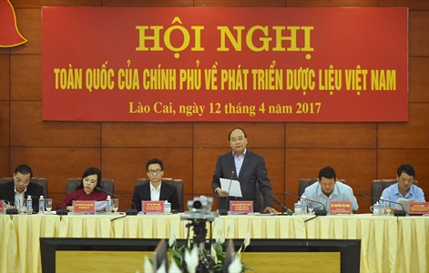 Thủ tướng Nguyễn Xuân Phúc: Y học cổ truyền là một kho báu